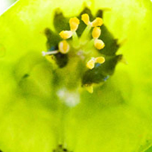 小黑ddos压力测试平台